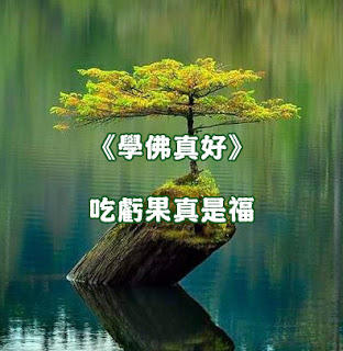 《學佛真好》吃虧果真是福 